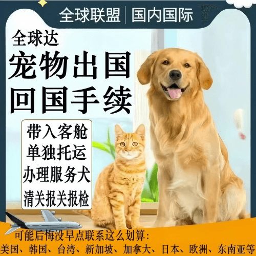 葫芦岛市宠物托运到柬埔寨宠物入境规定和要求