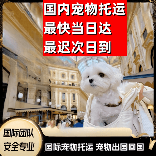 葫芦岛市到澳大利亚（澳洲）宠物入境规定和要求