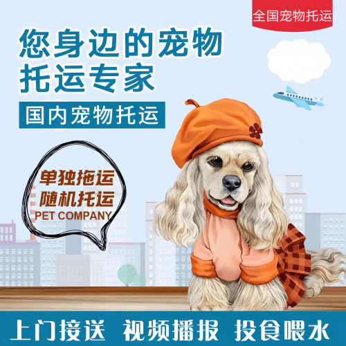 满财葫芦岛市宠物全球达宠物托运作为专业的宠物运输代理机构
